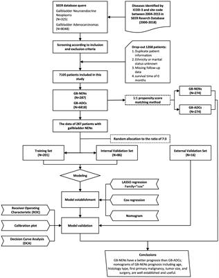 Comparative prognosis and risk assessment in gallbladder neuroendocrine neoplasms versus adenocarcinomas